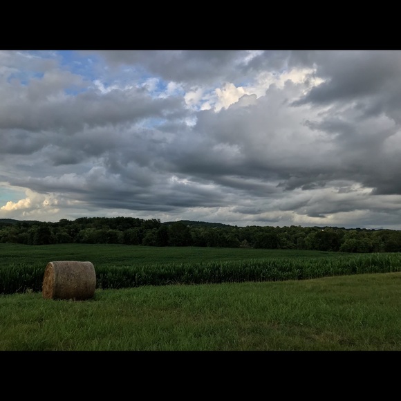 Meet your Posher, Catharine - Picture 2 of 2